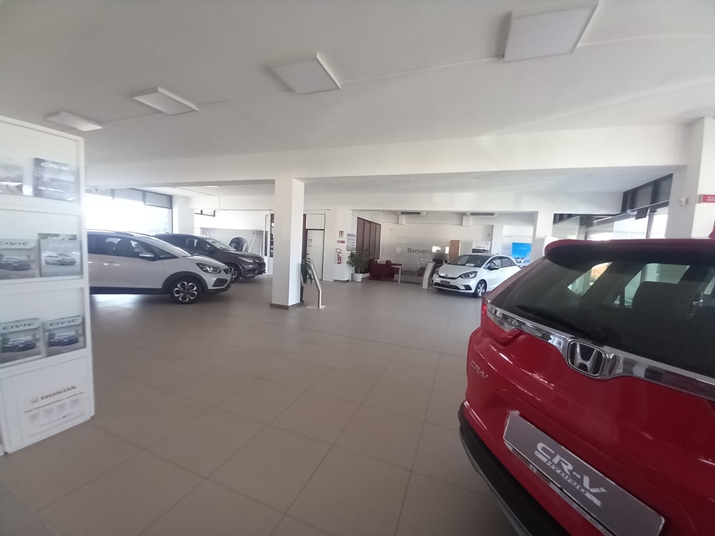 AUTOLEONE 2 - Concessionaria Ufficiale Honda